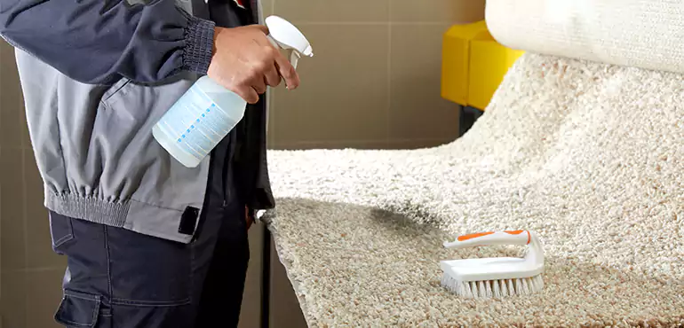 Why Preston Home Owners Choose Us for Expert Stain Removal Services